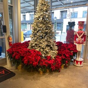 Elegant Red Poinsettia Arrangement